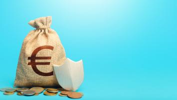 Un sac de pièces d'euros et un bouclier