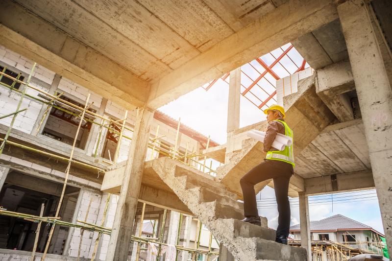 Transaction : Mérule, vice caché et SCI professionnelle de l’immobilier