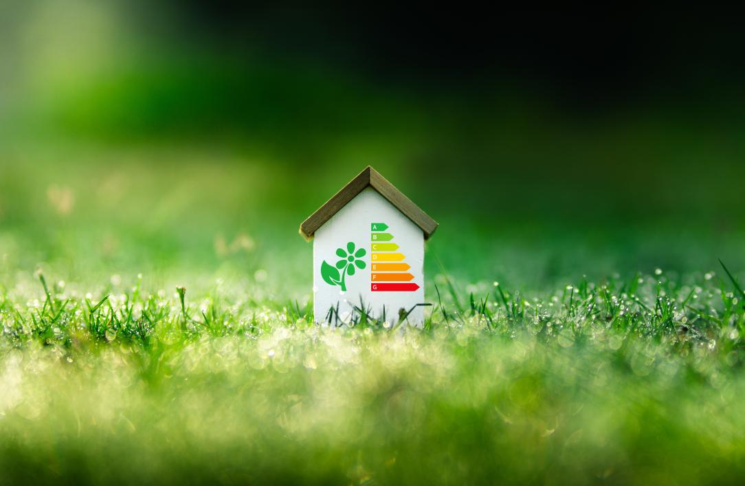 Une maison miniature dans l'herbe 